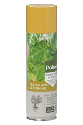 Bladglans 250 ml Pokon - Pokon