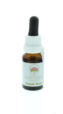 Australian Bush Kapok bush 15 Milliliter