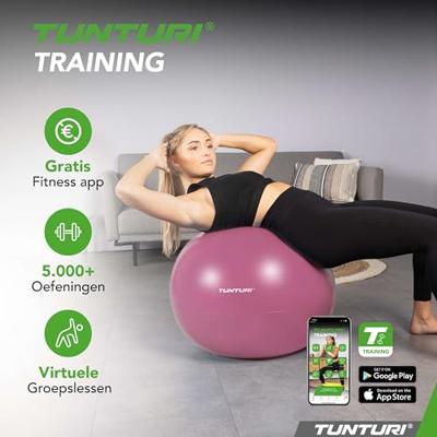 Fitnessbal Anti-Burst 75cm Purple - thumbnail