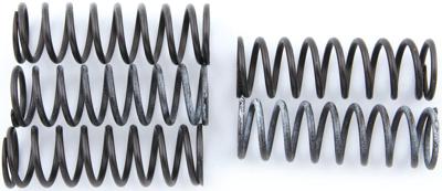 TRW koppelingsveren set clutch spring kit mef313-6