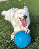 JOLLY SOCCER BALL BLAUW 20 CM - thumbnail