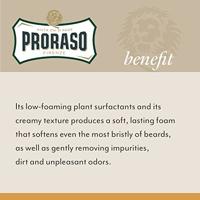 Proraso Wood & Spice Beard Wash - thumbnail