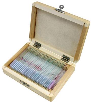 BRESSER Microscoop preparaten 30 stuks - Dieren