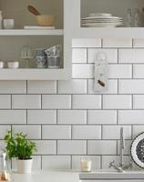 Geo Lijmplaat Levensmiddelenmot (Ephestia/Plodia) - thumbnail