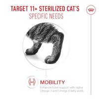 Royal Canin FHN Ageing 11+ kattenvoer 4 kilo - thumbnail