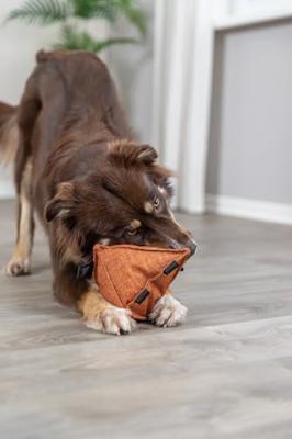 TRIXIE CITYSTYLE HONDENSPEELGOED RUIT STOF GERECYCLED 26 CM 2 ST - thumbnail