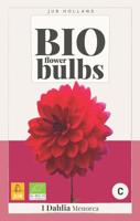 BIO Dahlia Menorca - thumbnail