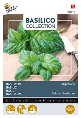 Zaden Basilicum a foglia di lattuga Buzzy - Buzzy