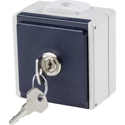 AS Schwabe 62461 Stopcontact (opbouw) Afsluitbaar IP54 Grijs
