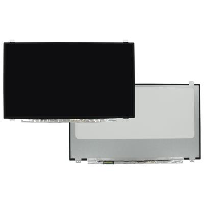 17.3 inch LCD Scherm 1920x1080 Mat 40Pin eDP, IPS, 120Hz
