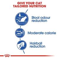 Royal Canin Indoor 27 kattenvoer 4 kg - thumbnail