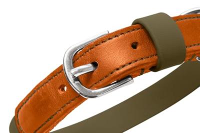 HUNTER Hondenhalsband Wolmar, khaki/oranje, Maat: 50 HUNTER Hondenhalsband Wolmar, khaki/oranje, Maat: 50