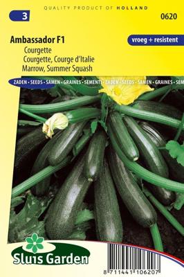 Courgette zaden - Ambassador F1 Courgette zaden - Ambassador F1