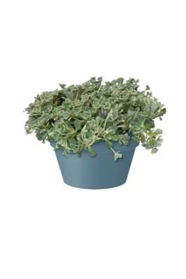Elho schaal loft urban 35cm blauw