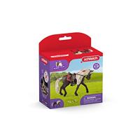 Schleich horse club rocky mountain merrie paardenshow 42469 - thumbnail