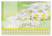 Sigel SI-HO307 Designonderlegger Lovely Daisies,met Jaartal 2023/2024/2025. 4-talig 59.5x41cm, 80 Grams Papier, 30 Vel - thumbnail