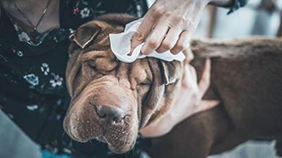VETOCANIS Grote reinigingsdoekjes - voor honden en katten
