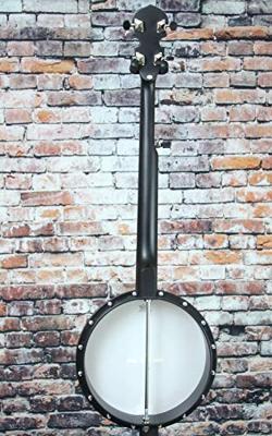 Gold Tone AC-Traveler vijfsnarige reisbanjo, met gigbag