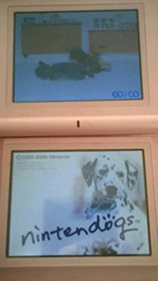 Nintendogs Dalmatian Nintendogs Dalmatian