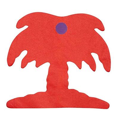 Palmboom Slinger Rainbow Hawaii (4m)