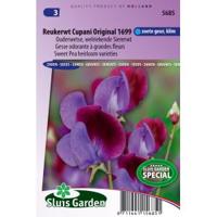 Lathyrus Odoratus zaden Cupanis Original 1699 reukerwt - thumbnail