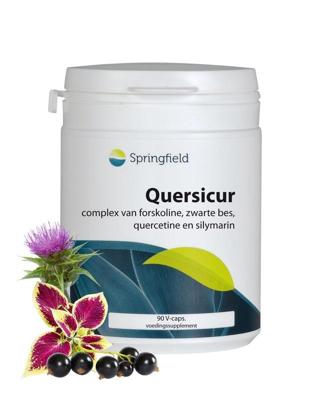 Springfield Quersicur antioxy complex 90 Vegetarische capsules Springfield Quersicur antioxy complex 90 Vegetarische capsules