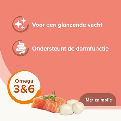 Beaphar Schapenvet Mini bonbons met zalm voor de hond 2 verpakkingen