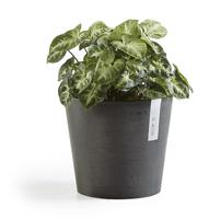 Ecopots Bloempot Amsterdam Mini Ø17cm - Donkergrijs - thumbnail