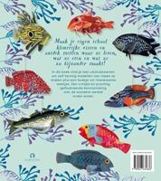 Vinnen maken de vis - thumbnail