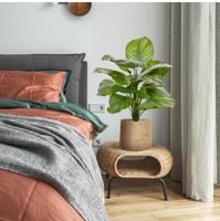 Calathea Fasciata kunstplant 70cm - thumbnail