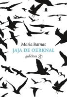 Jaja de oerknal - Maria Barnas - ebook - thumbnail