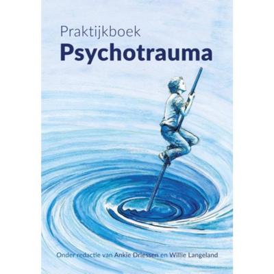 Praktijkboek psychotrauma (Paperback)