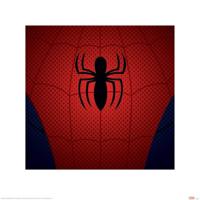 Kunstdruk Ultimate Spider-Man Torso 40x40cm - thumbnail