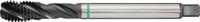 Promat/Tecwerk Machinetap | DIN 5156C universele | G 3/8 inchx19 | HSS-Co vap. | ISO 228 - 4000867955 - thumbnail
