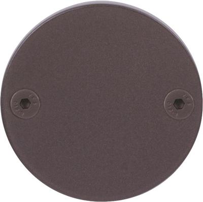 Formani Piet Boon ONE PBB50 blindplaatje - brons