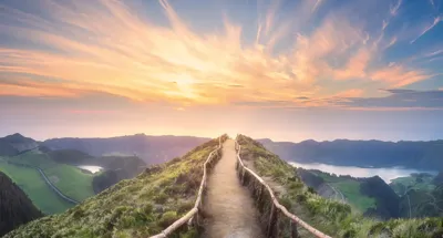 Alexsar Art Tuinschilderij uitzichtpad 130x70cm