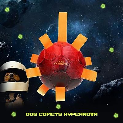 Dog Comets Hypernova Oranje