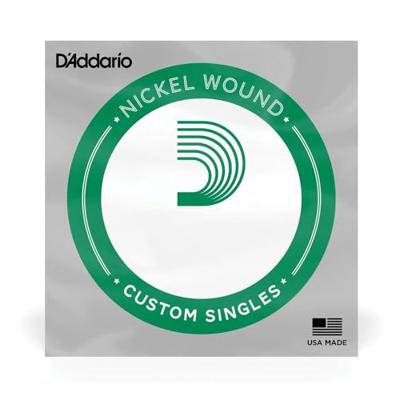 D'Addario NW017