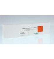 Hypericum/calendula creme - thumbnail