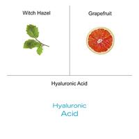 The Organic Pharmacy Hyaluronic Acid Corrective Mask 60ml - thumbnail