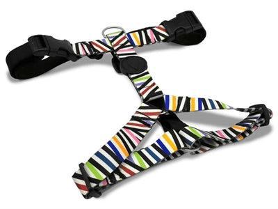 MORSO HONDENTUIG H-TUIG GERECYCLED SPAGHETTI INCIDENT 50-70X1,5 CM MORSO HONDENTUIG H-TUIG GERECYCLED SPAGHETTI INCIDENT 50-70X1,5 CM