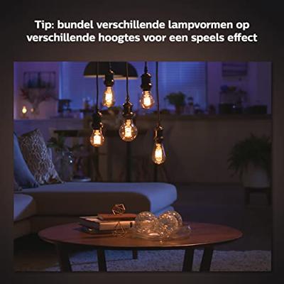 Philips 1-pack G125 E27 Globe met zichtbare gloeidraad