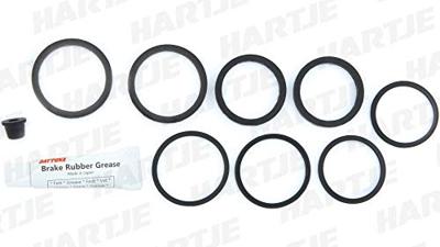 DAYTONA reparatie kit remklauw repair set 88309