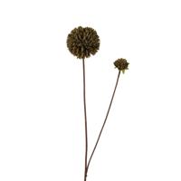 Roberts Collection Kunstbloem pompom 66cm dark green - thumbnail