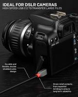 Lindy 36725 5m USB A Mini-USB B Mannelijk Mannelijk Zwart USB-kabel - thumbnail