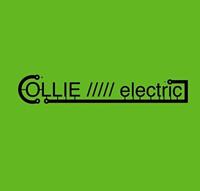 Collie/////electric - thumbnail