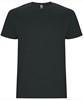 Roly RY6681K Kids´ Stafford T-Shirt - Dark Lead 46 - 3/4 years - thumbnail