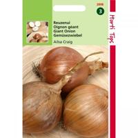 Zaden Uien Ailsa Craig Sel. Exhibition Hortitops - Hortitops - thumbnail