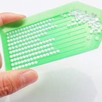 Icotek KEL-DPF 50/22-36 Montagegat: M50 Klem-Ø (max.): 36 mm Polyamide, Elastomeer Grijs 1 stuk(s) - thumbnail