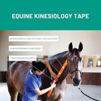 VETKIN Medical Taping Concept Kinesiology Taping voor paarden | Pijnverlichting en revalidatie bij paarden | Uitgebreid boek voor professionals - thumbnail